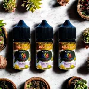 【】馬來西亞 888 小煙油 推薦 高濃縮果味冰爽口感 芒果冰沙 30ml 30mg 丁鹽 原裝正品 1 馬來西亞888小煙油推薦 高濃縮果味冰爽口感 小煙油推薦